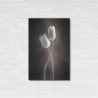 Luxe Metal Art 'Two Tone Tulips V' by Debra Van Swearingen, Metal Wall Art,24x36