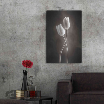 Luxe Metal Art 'Two Tone Tulips V' by Debra Van Swearingen, Metal Wall Art,24x36