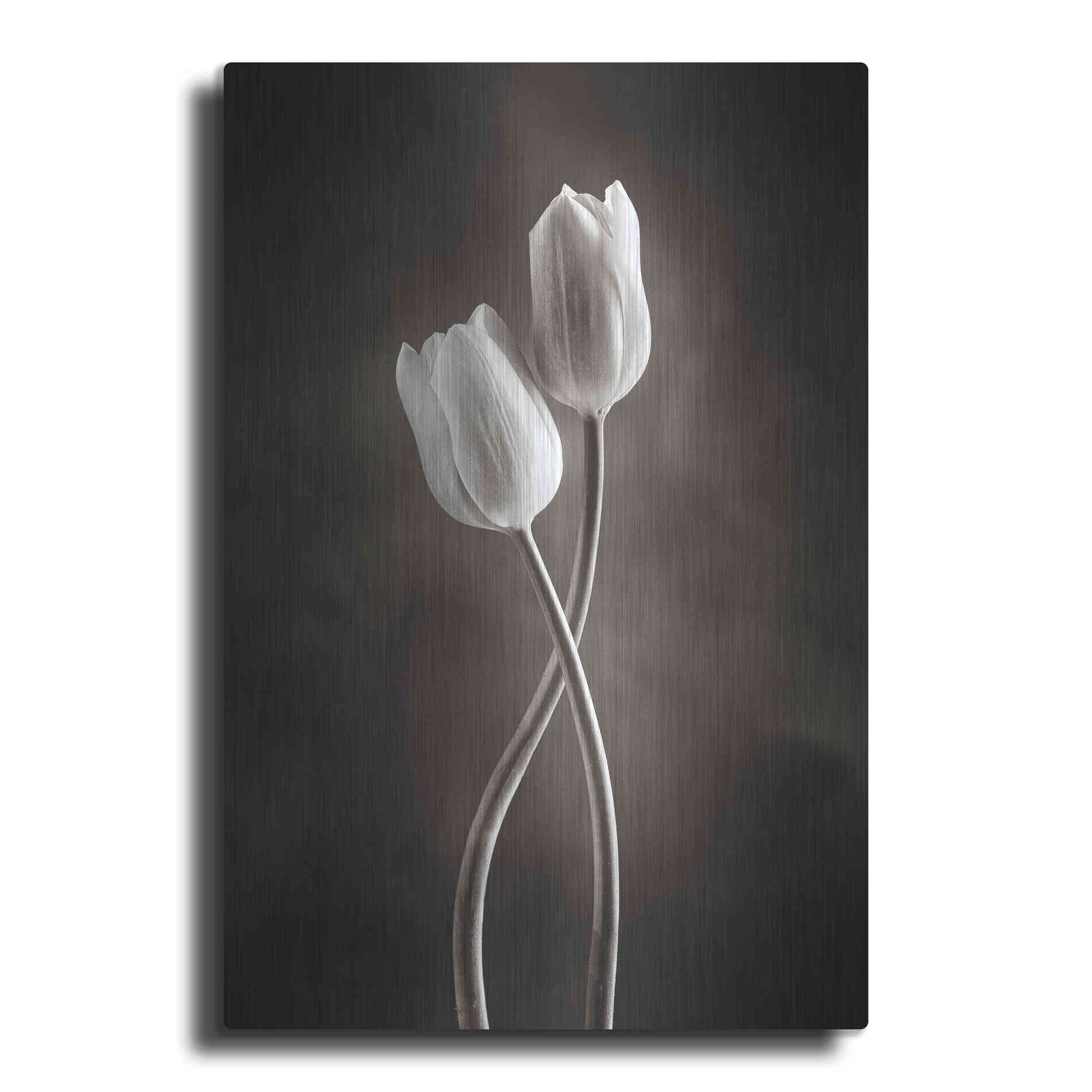 Luxe Metal Art 'Two Tone Tulips V' by Debra Van Swearingen, Metal Wall Art