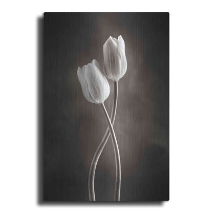 Luxe Metal Art 'Two Tone Tulips V' by Debra Van Swearingen, Metal Wall Art