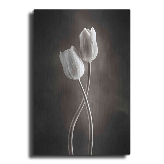 Luxe Metal Art 'Two Tone Tulips V' by Debra Van Swearingen, Metal Wall Art