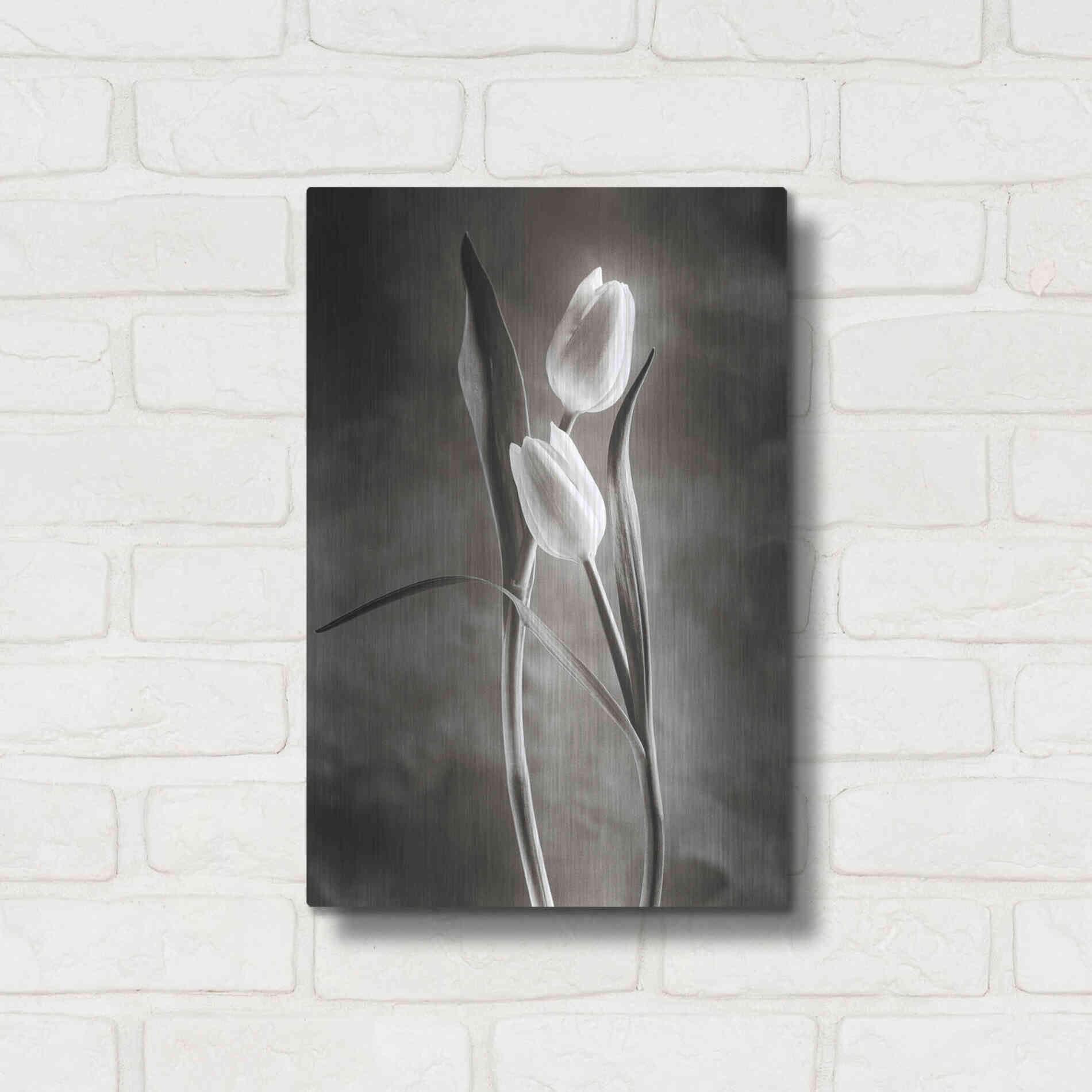 Luxe Metal Art 'Two Tone Tulips VI' by Debra Van Swearingen, Metal Wall Art,12x16