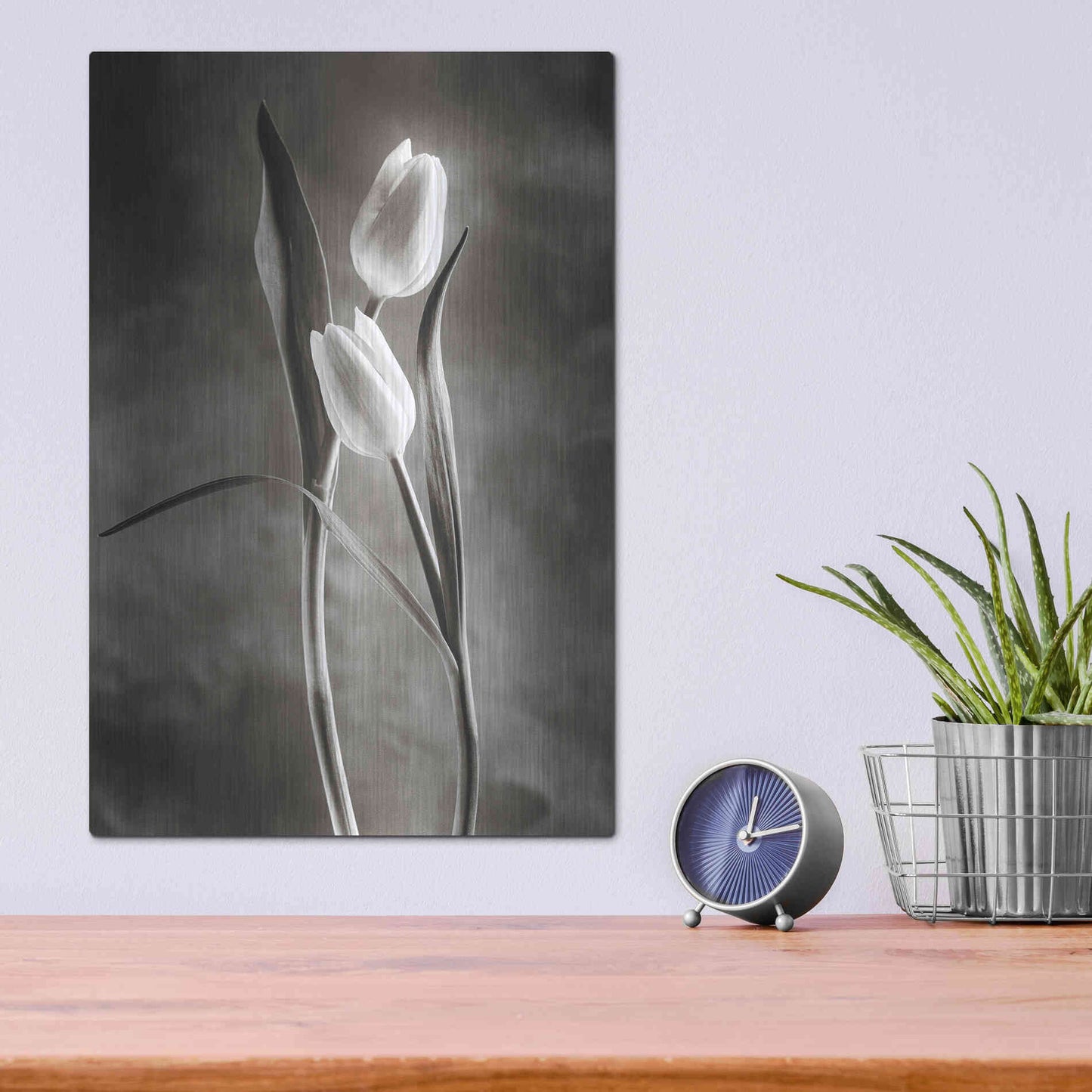 Luxe Metal Art 'Two Tone Tulips VI' by Debra Van Swearingen, Metal Wall Art,12x16