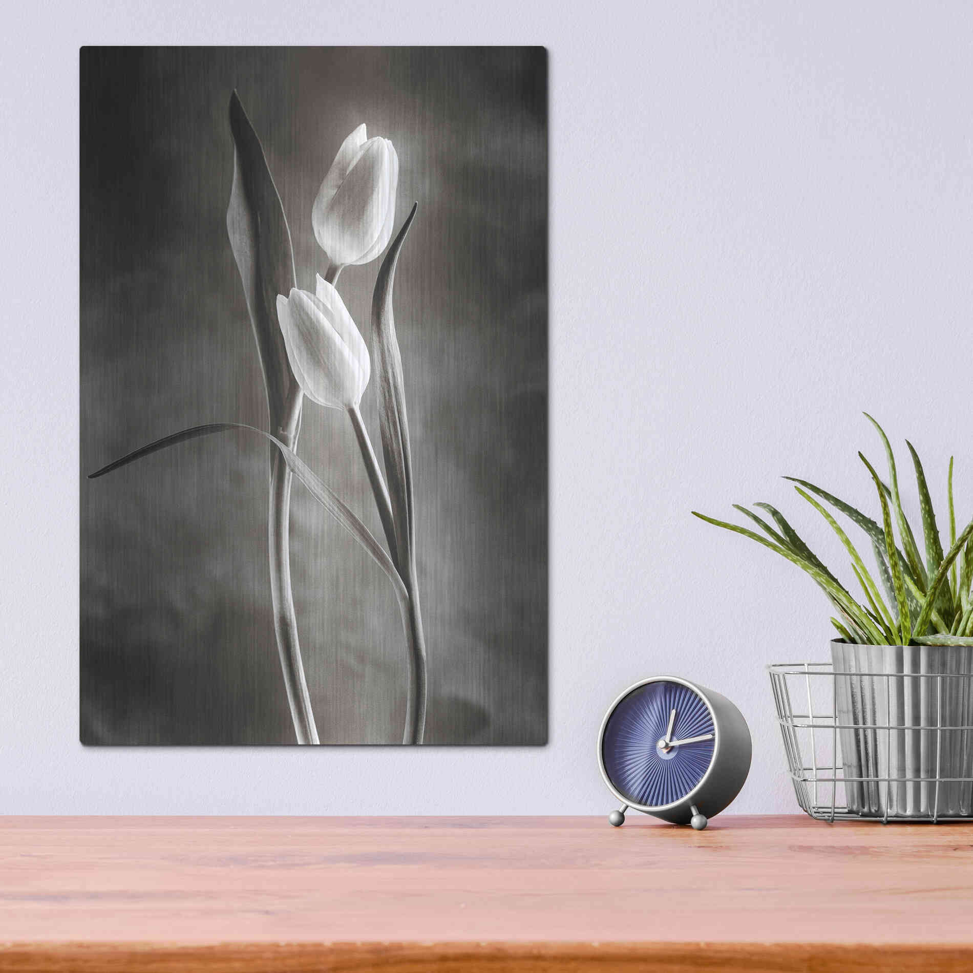 Luxe Metal Art 'Two Tone Tulips VI' by Debra Van Swearingen, Metal Wall Art,12x16