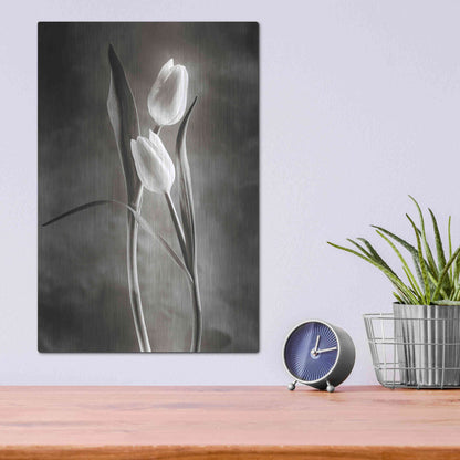 Luxe Metal Art 'Two Tone Tulips VI' by Debra Van Swearingen, Metal Wall Art,12x16