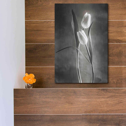 Luxe Metal Art 'Two Tone Tulips VI' by Debra Van Swearingen, Metal Wall Art,12x16