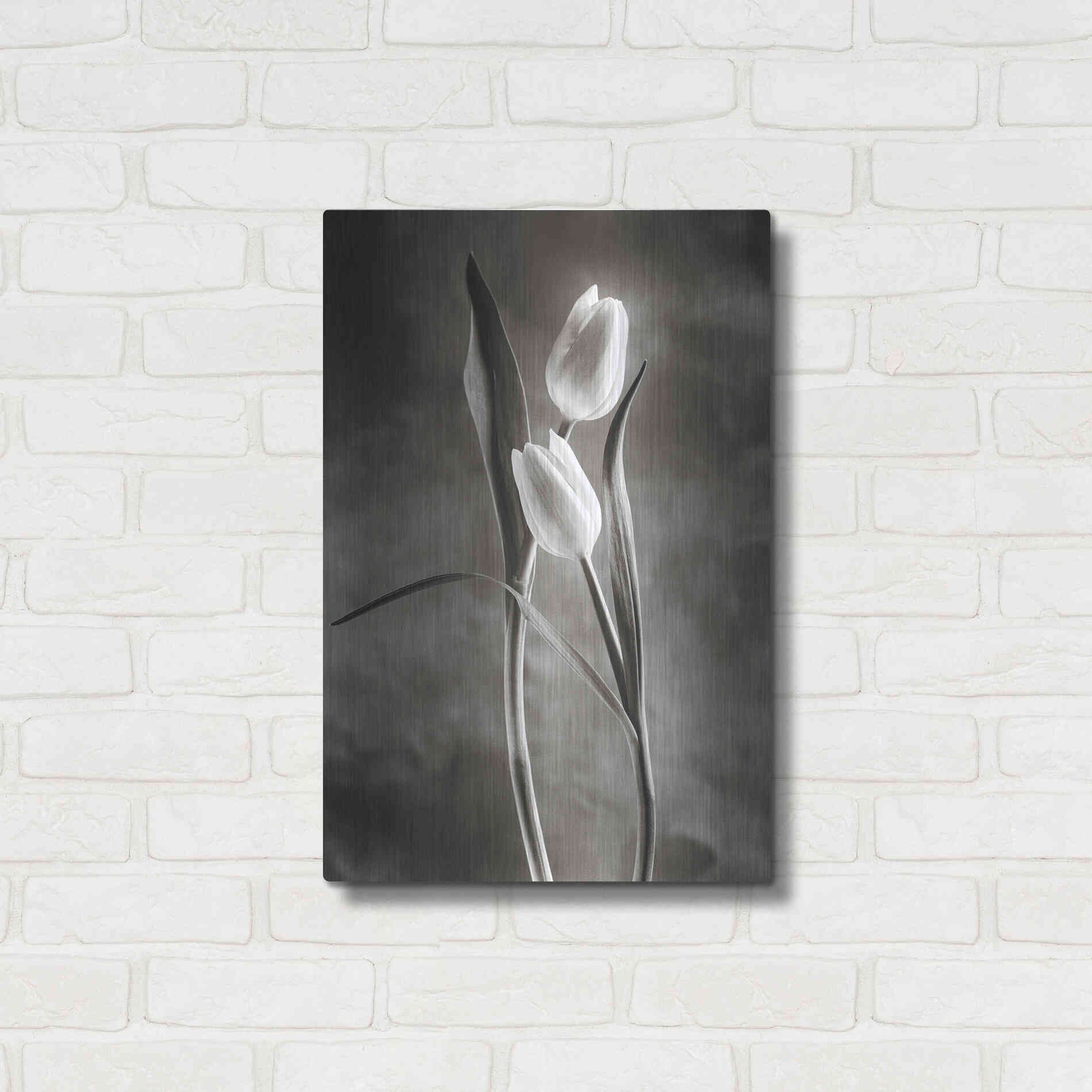 Luxe Metal Art 'Two Tone Tulips VI' by Debra Van Swearingen, Metal Wall Art,16x24