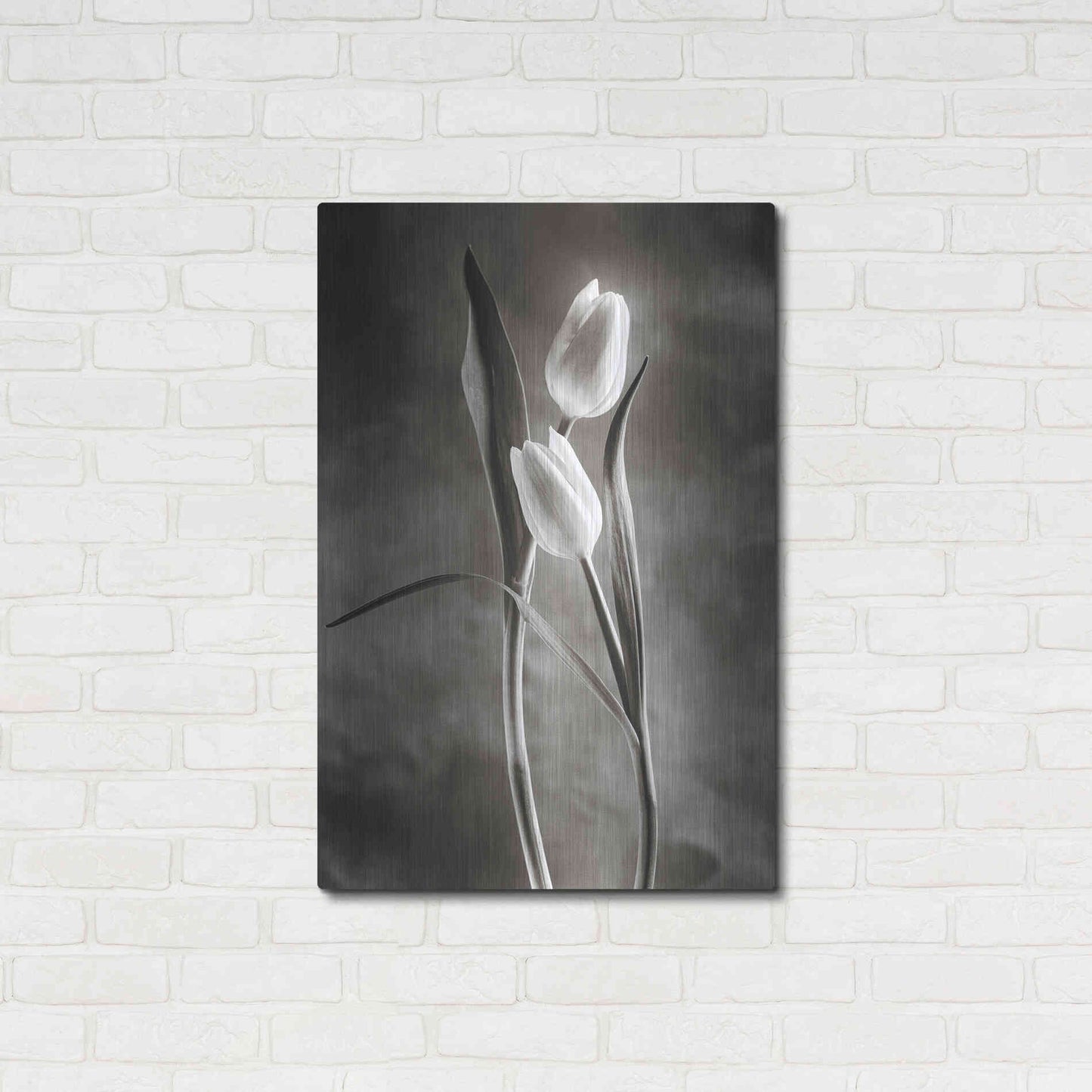 Luxe Metal Art 'Two Tone Tulips VI' by Debra Van Swearingen, Metal Wall Art,24x36