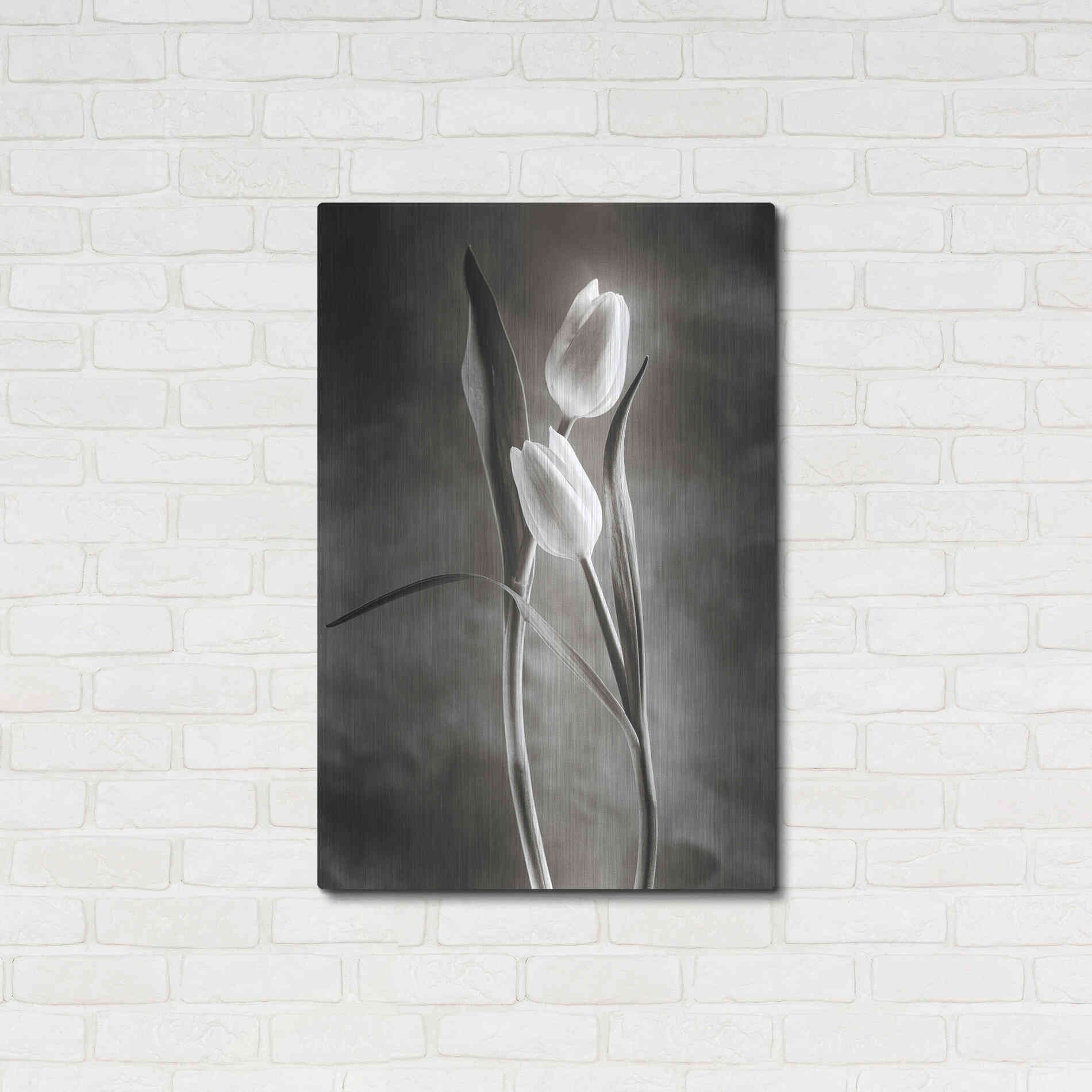 Luxe Metal Art 'Two Tone Tulips VI' by Debra Van Swearingen, Metal Wall Art,24x36