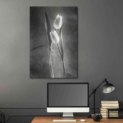 Luxe Metal Art 'Two Tone Tulips VI' by Debra Van Swearingen, Metal Wall Art,24x36