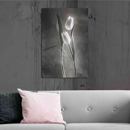 Luxe Metal Art 'Two Tone Tulips VI' by Debra Van Swearingen, Metal Wall Art,24x36