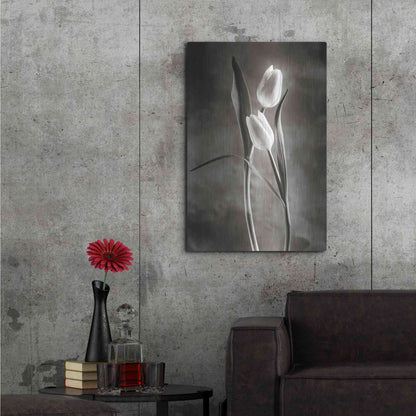 Luxe Metal Art 'Two Tone Tulips VI' by Debra Van Swearingen, Metal Wall Art,24x36