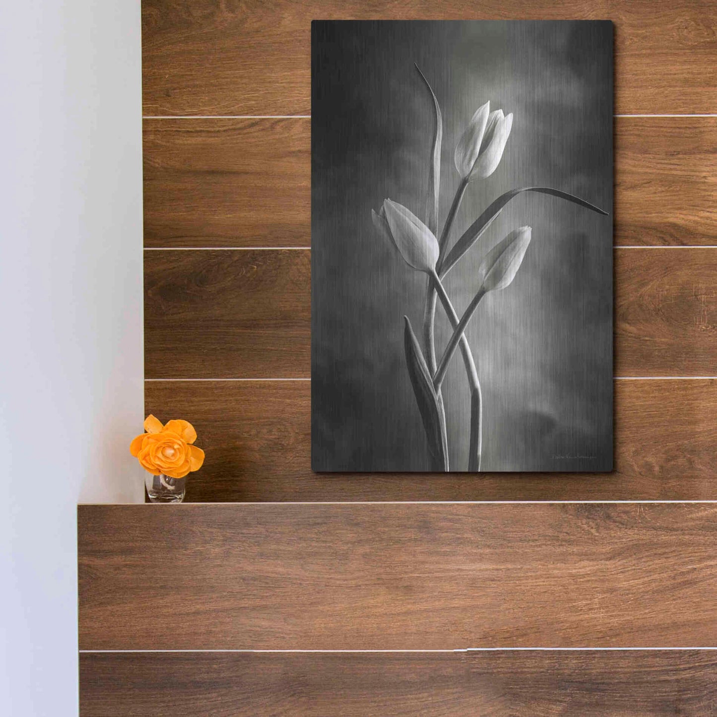 Luxe Metal Art 'Two Tone Tulips VII' by Debra Van Swearingen, Metal Wall Art,12x16