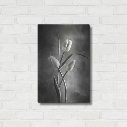 Luxe Metal Art 'Two Tone Tulips VII' by Debra Van Swearingen, Metal Wall Art,16x24