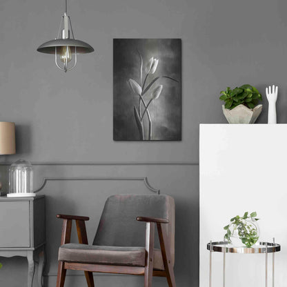 Luxe Metal Art 'Two Tone Tulips VII' by Debra Van Swearingen, Metal Wall Art,16x24