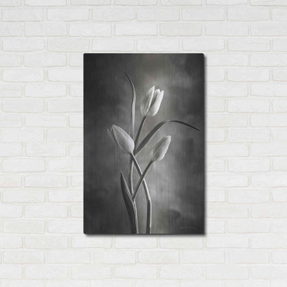 Luxe Metal Art 'Two Tone Tulips VII' by Debra Van Swearingen, Metal Wall Art,24x36