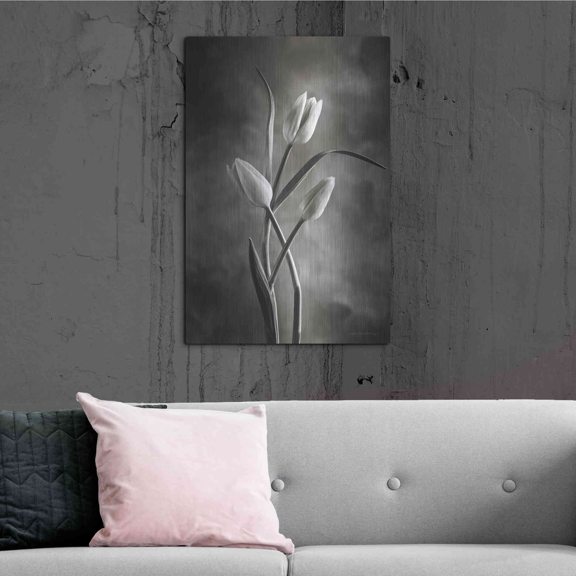 Luxe Metal Art 'Two Tone Tulips VII' by Debra Van Swearingen, Metal Wall Art,24x36
