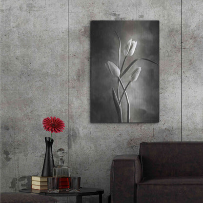 Luxe Metal Art 'Two Tone Tulips VII' by Debra Van Swearingen, Metal Wall Art,24x36
