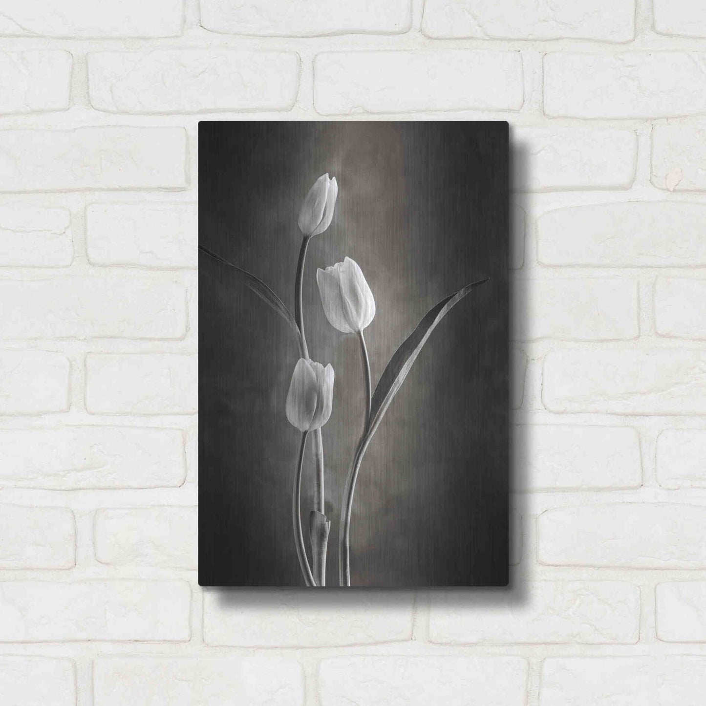 Luxe Metal Art 'Two Tone Tulips VIII' by Debra Van Swearingen, Metal Wall Art,12x16