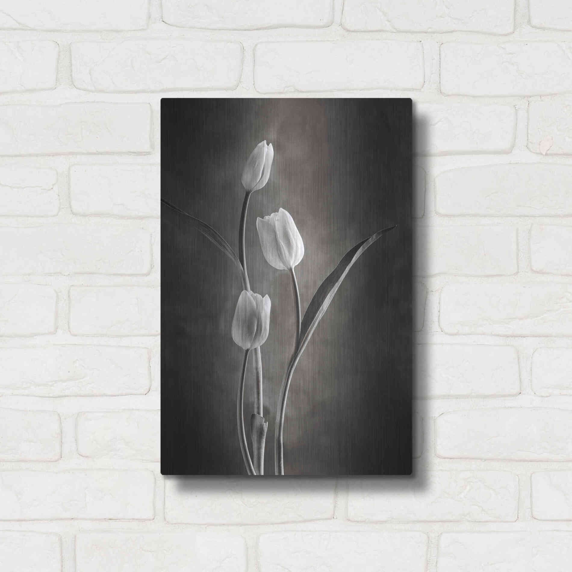Luxe Metal Art 'Two Tone Tulips VIII' by Debra Van Swearingen, Metal Wall Art,12x16