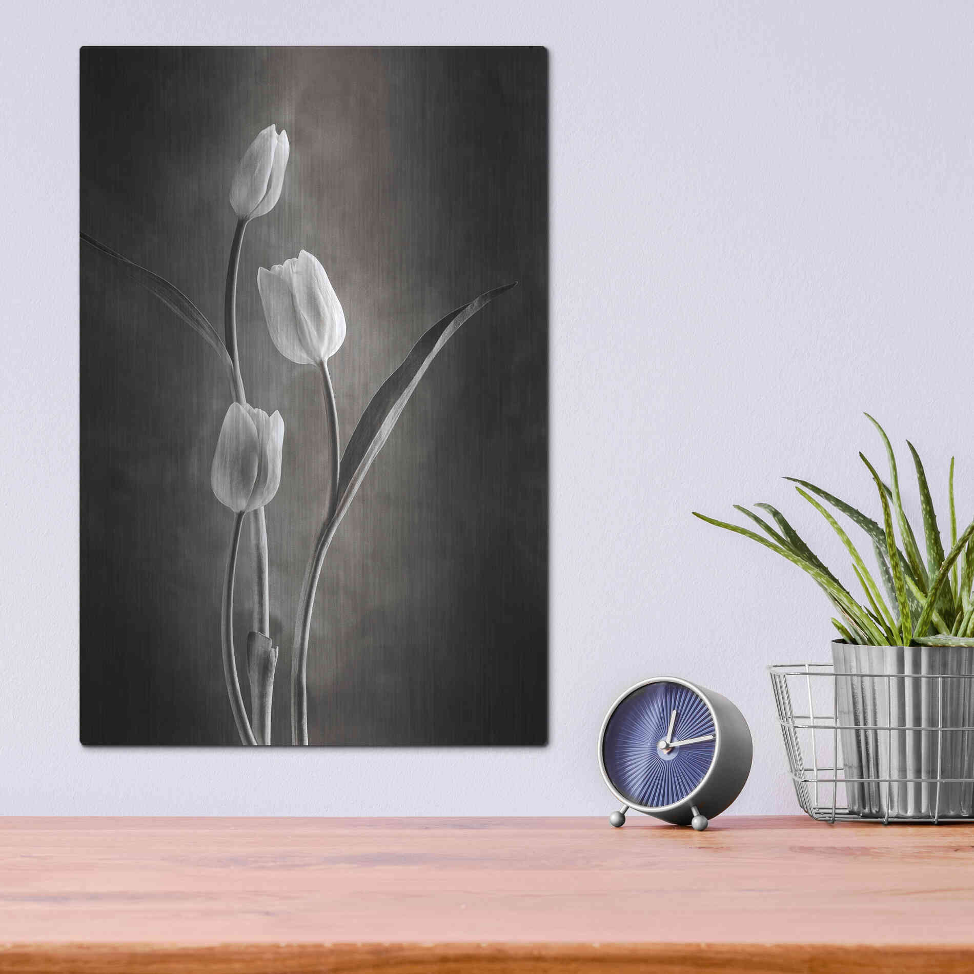 Luxe Metal Art 'Two Tone Tulips VIII' by Debra Van Swearingen, Metal Wall Art,12x16