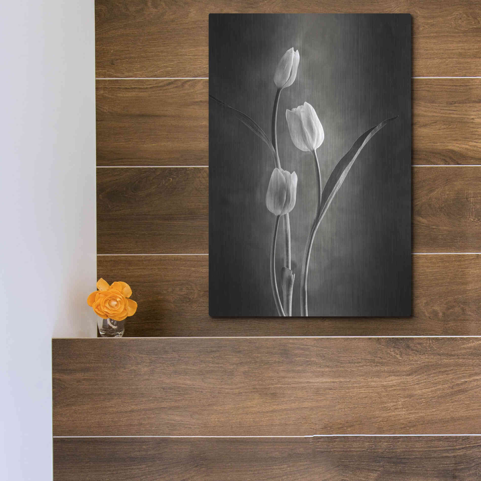Luxe Metal Art 'Two Tone Tulips VIII' by Debra Van Swearingen, Metal Wall Art,12x16