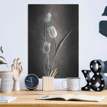 Luxe Metal Art 'Two Tone Tulips VIII' by Debra Van Swearingen, Metal Wall Art,12x16