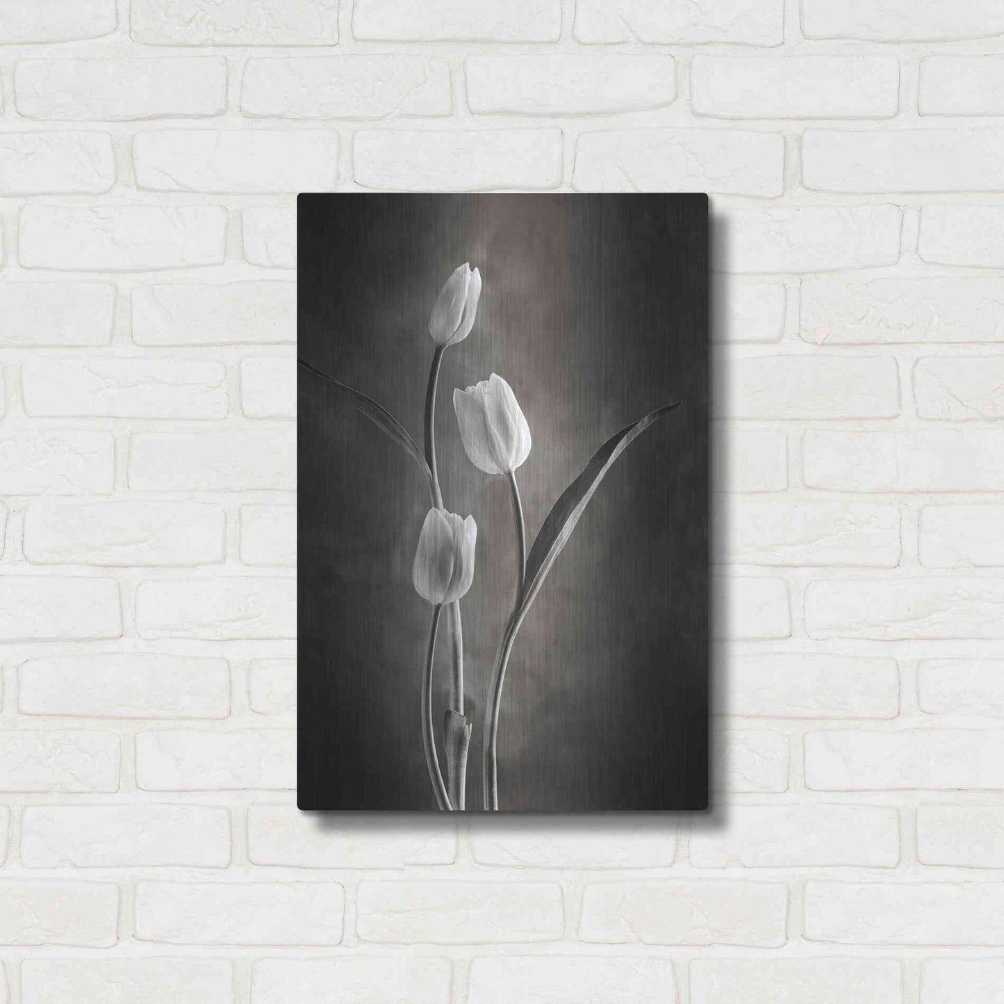 Luxe Metal Art 'Two Tone Tulips VIII' by Debra Van Swearingen, Metal Wall Art,16x24