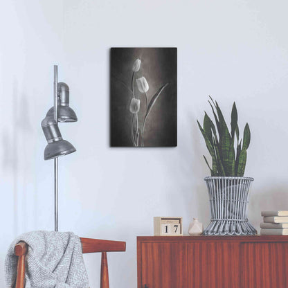 Luxe Metal Art 'Two Tone Tulips VIII' by Debra Van Swearingen, Metal Wall Art,16x24