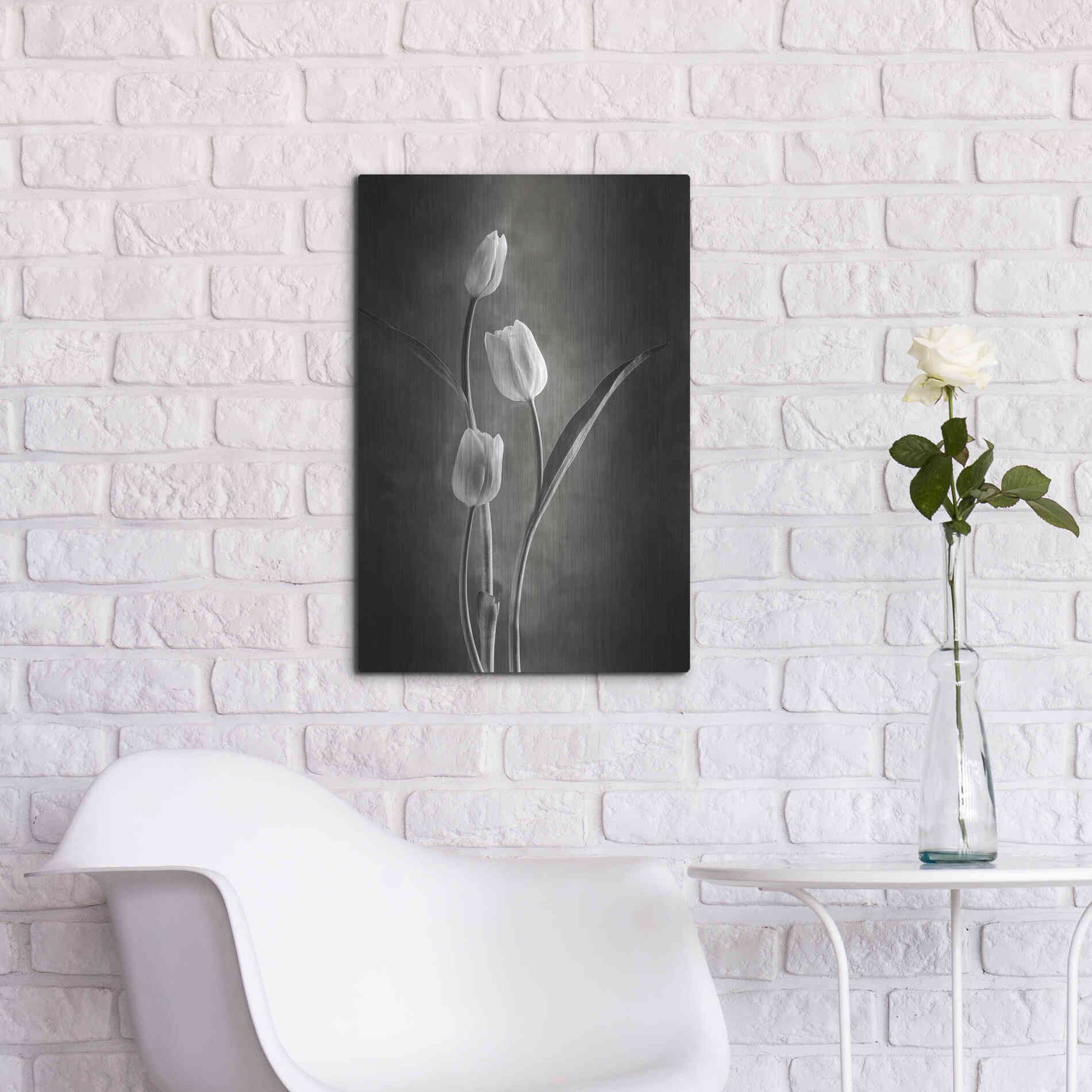 Luxe Metal Art 'Two Tone Tulips VIII' by Debra Van Swearingen, Metal Wall Art,16x24