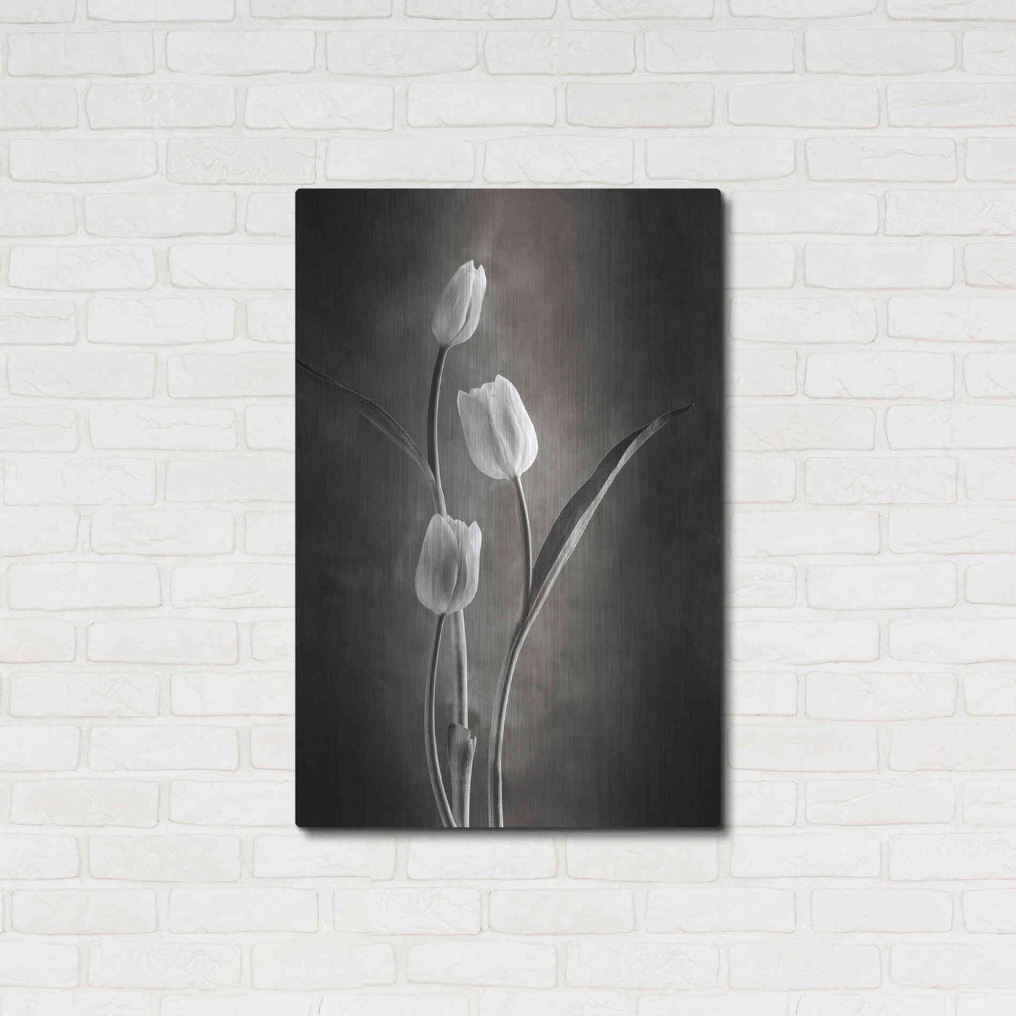 Luxe Metal Art 'Two Tone Tulips VIII' by Debra Van Swearingen, Metal Wall Art,24x36