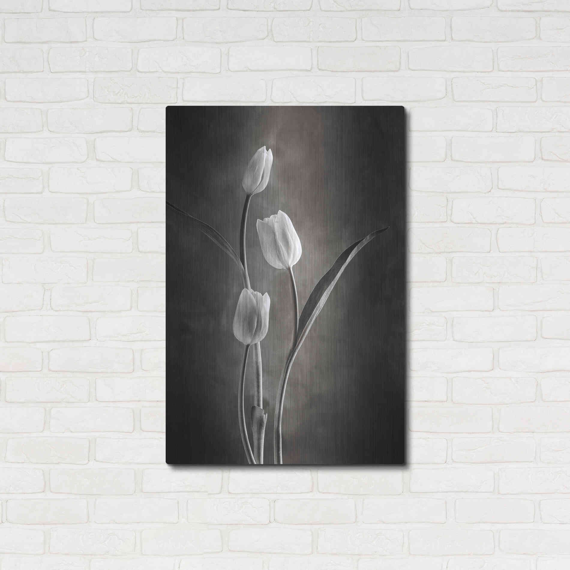 Luxe Metal Art 'Two Tone Tulips VIII' by Debra Van Swearingen, Metal Wall Art,24x36