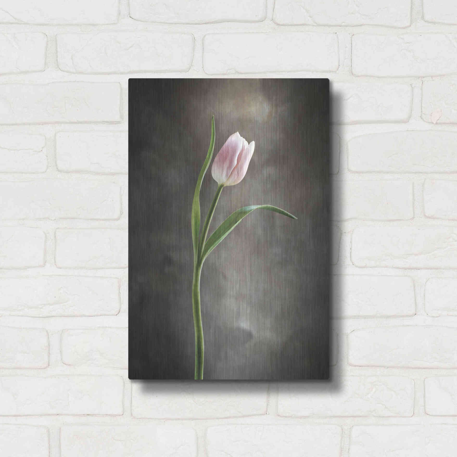 Luxe Metal Art 'Spring Tulips I' by Debra Van Swearingen, Metal Wall Art,12x16