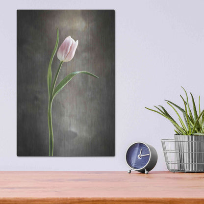 Luxe Metal Art 'Spring Tulips I' by Debra Van Swearingen, Metal Wall Art,12x16