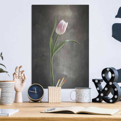 Luxe Metal Art 'Spring Tulips I' by Debra Van Swearingen, Metal Wall Art,12x16