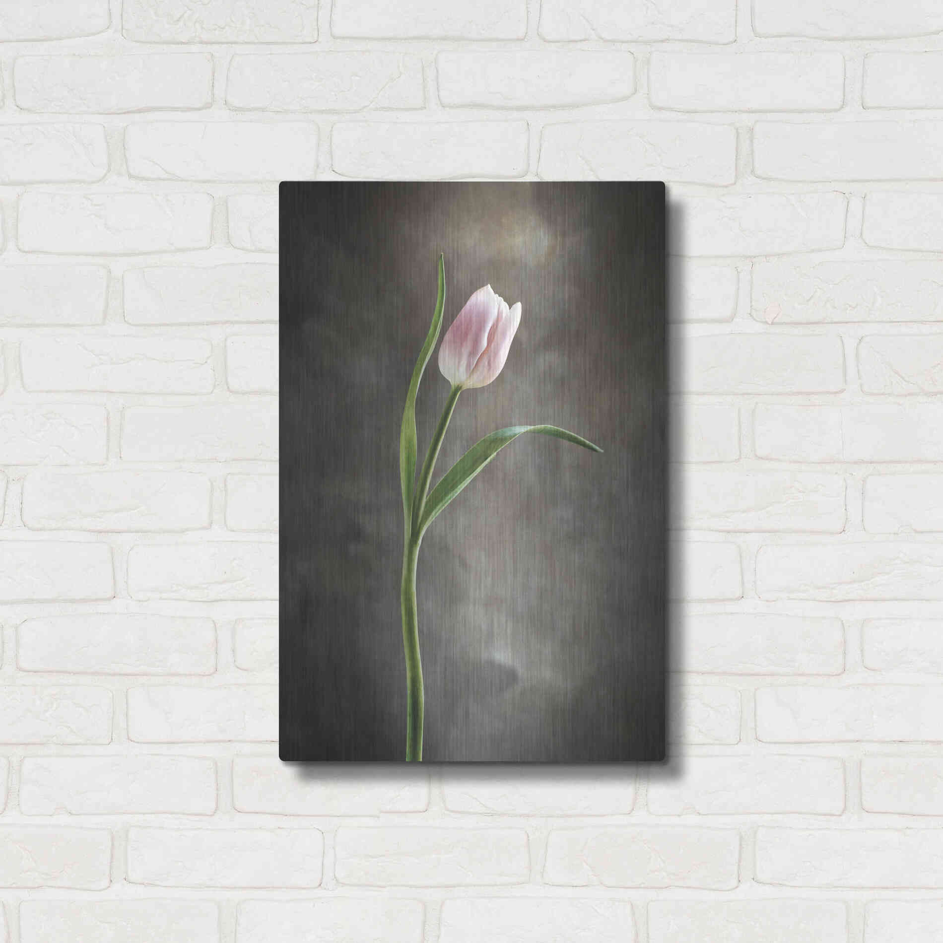 Luxe Metal Art 'Spring Tulips I' by Debra Van Swearingen, Metal Wall Art,16x24