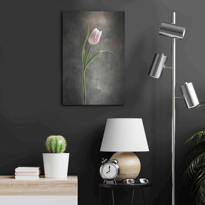 Luxe Metal Art 'Spring Tulips I' by Debra Van Swearingen, Metal Wall Art,16x24