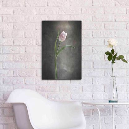 Luxe Metal Art 'Spring Tulips I' by Debra Van Swearingen, Metal Wall Art,16x24