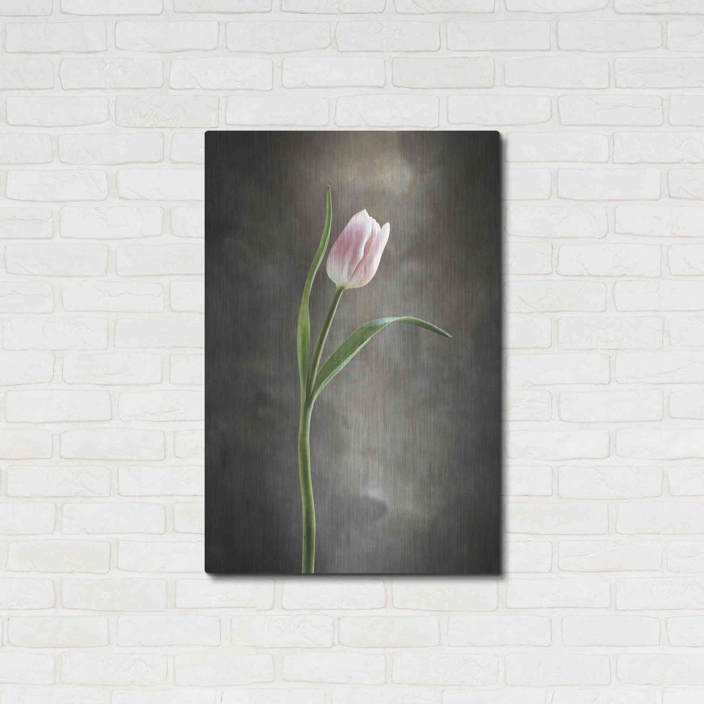 Luxe Metal Art 'Spring Tulips I' by Debra Van Swearingen, Metal Wall Art,24x36