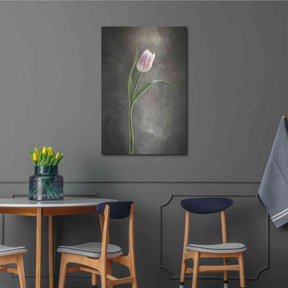 Luxe Metal Art 'Spring Tulips I' by Debra Van Swearingen, Metal Wall Art,24x36