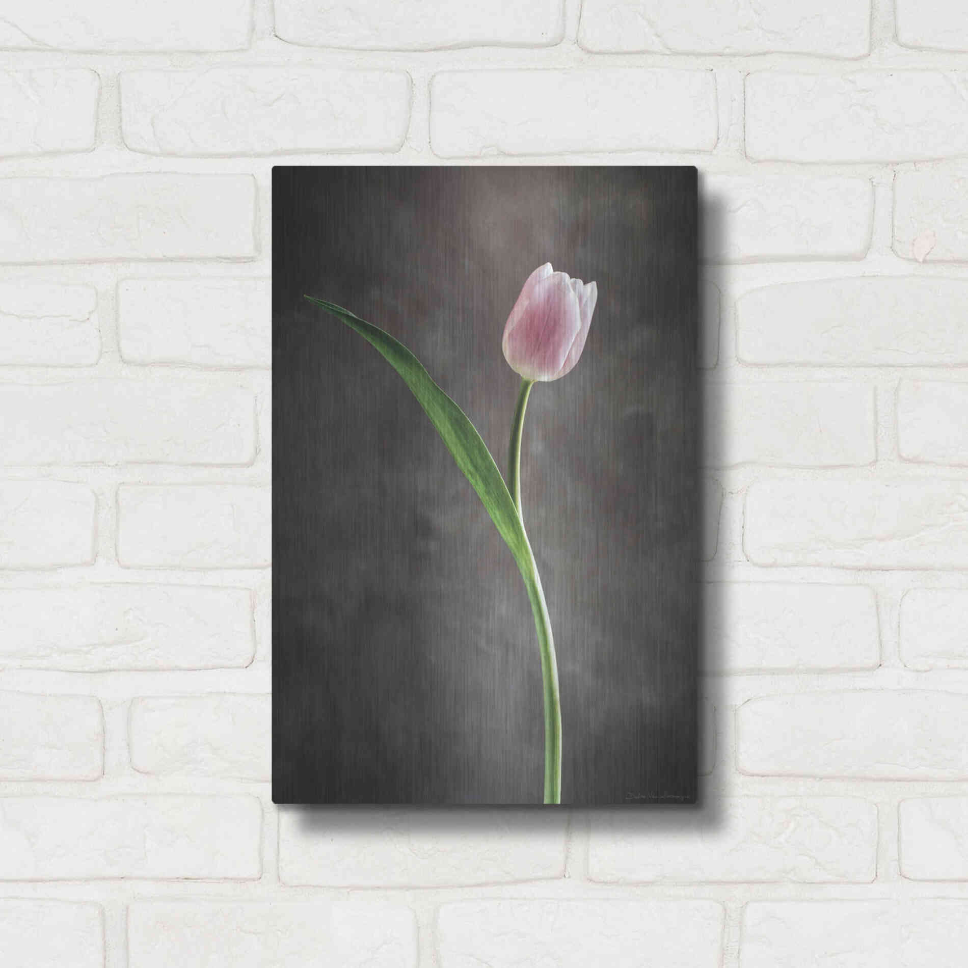 Luxe Metal Art 'Spring Tulips II' by Debra Van Swearingen, Metal Wall Art,12x16