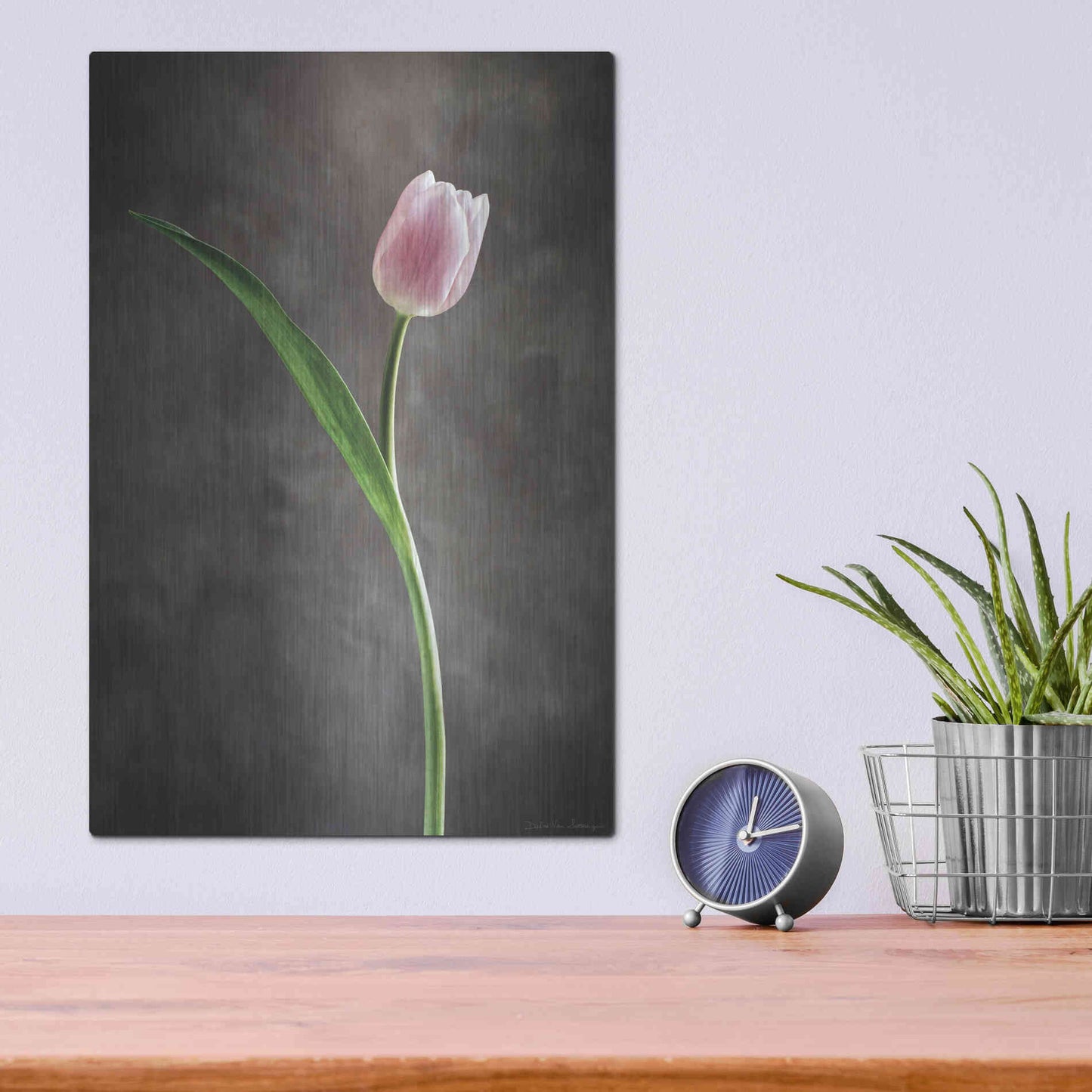 Luxe Metal Art 'Spring Tulips II' by Debra Van Swearingen, Metal Wall Art,12x16