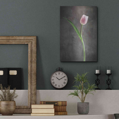 Luxe Metal Art 'Spring Tulips II' by Debra Van Swearingen, Metal Wall Art,12x16