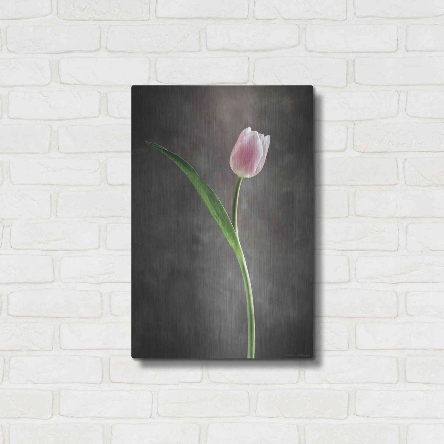 Luxe Metal Art 'Spring Tulips II' by Debra Van Swearingen, Metal Wall Art,16x24