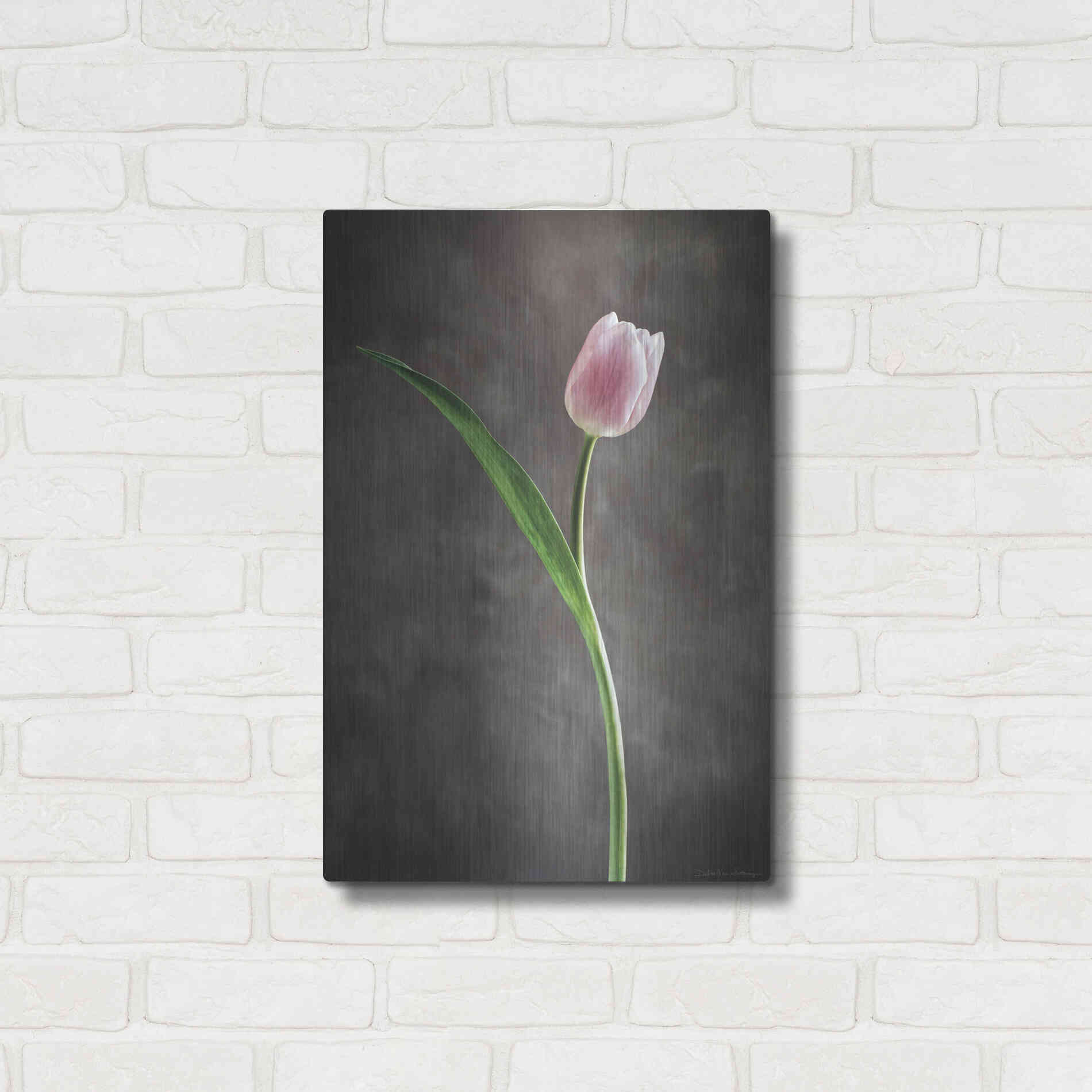 Luxe Metal Art 'Spring Tulips II' by Debra Van Swearingen, Metal Wall Art,16x24