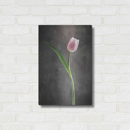 Luxe Metal Art 'Spring Tulips II' by Debra Van Swearingen, Metal Wall Art,16x24