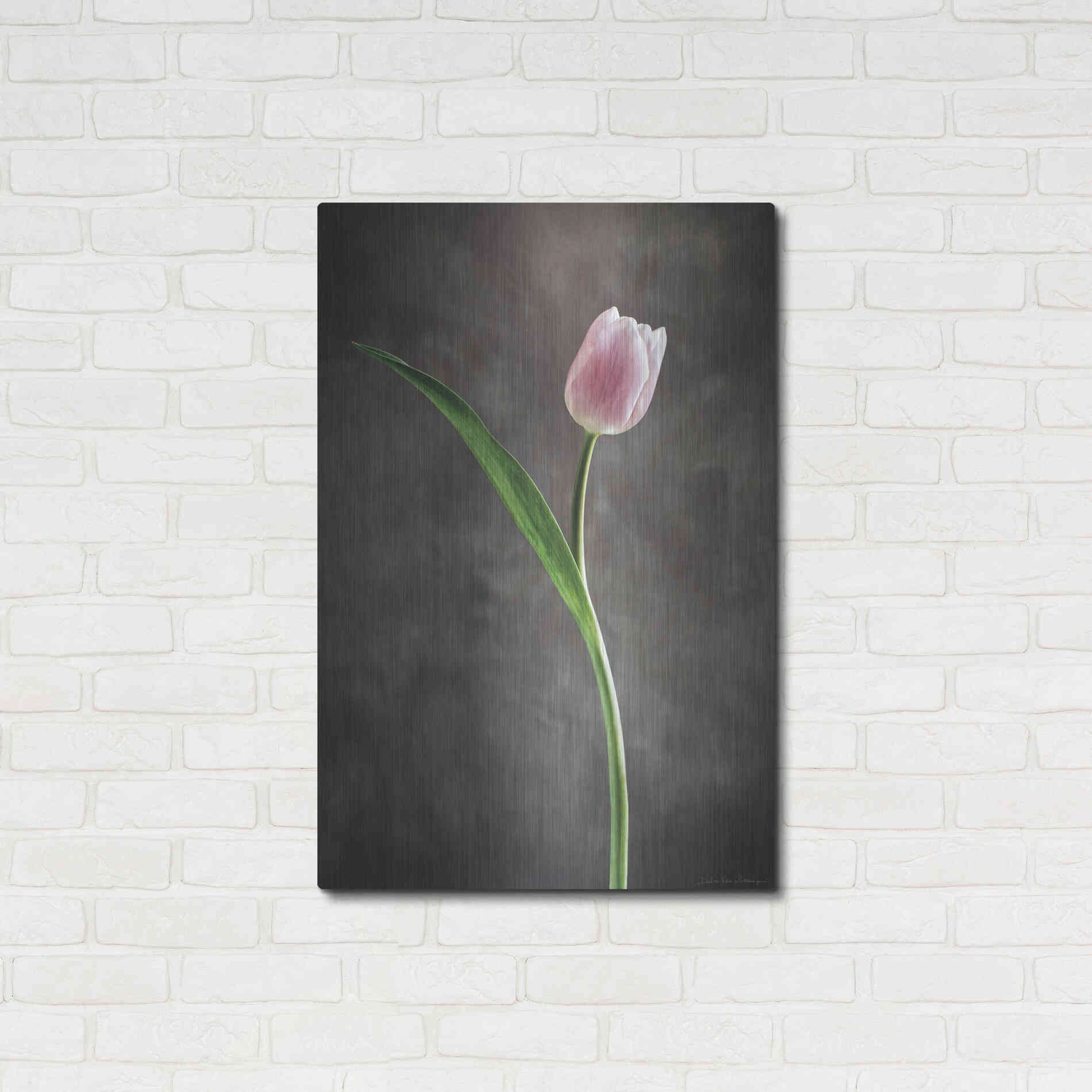 Luxe Metal Art 'Spring Tulips II' by Debra Van Swearingen, Metal Wall Art,24x36