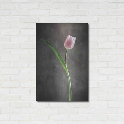 Luxe Metal Art 'Spring Tulips II' by Debra Van Swearingen, Metal Wall Art,24x36