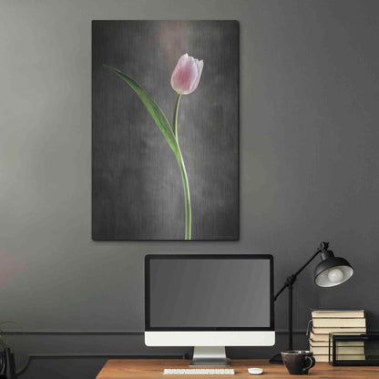 Luxe Metal Art 'Spring Tulips II' by Debra Van Swearingen, Metal Wall Art,24x36