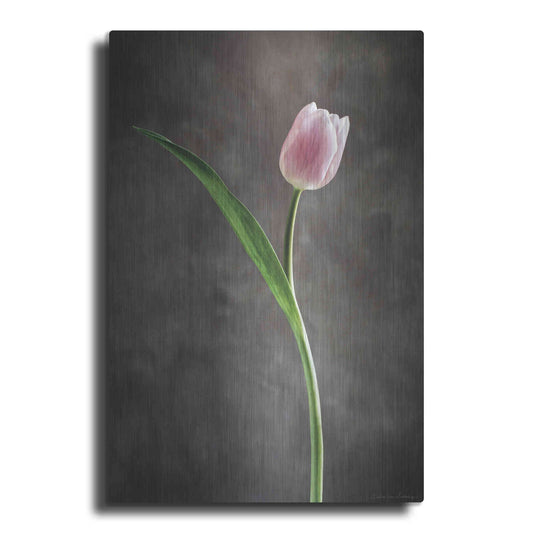 Luxe Metal Art 'Spring Tulips II' by Debra Van Swearingen, Metal Wall Art